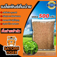 เมล็ดคื่นฉ่าย (เจ้าสัว) หนัก 500กรัม เมล็ดพันธุ์คื่นฉ่าย เมล็ดพันธุ์ผัก เมล็ดสมบรูณ์ โตง่าย โตเร็ว ผลผลิตงาม