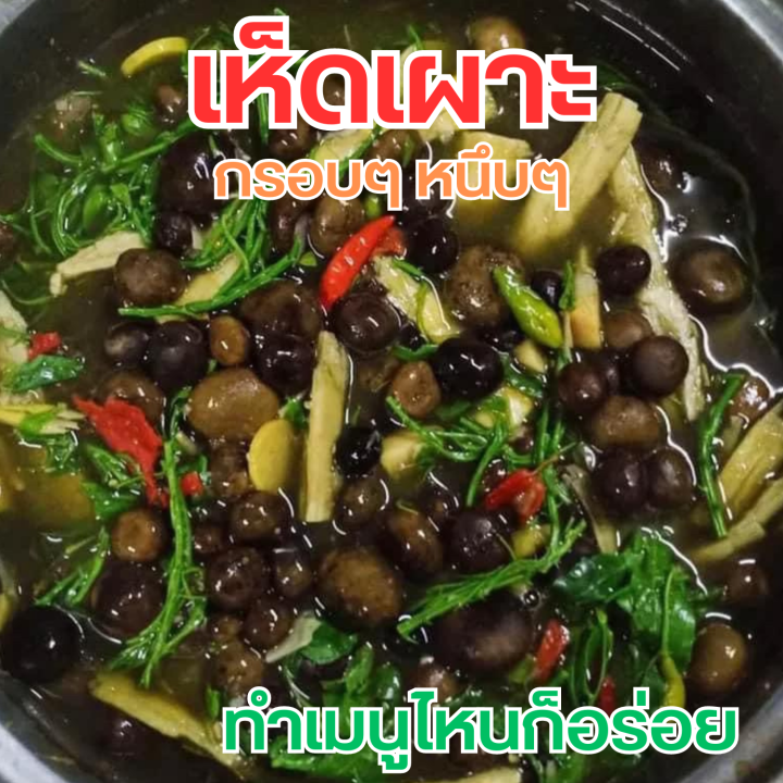 เห็ดเผาะ-คัดอ่อน-ต้มแล้ว-1-กิโล