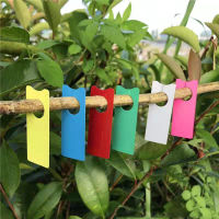 Full Range Of Colors Batch Color Card Ring-sleeve Type Plant Label Melon And Fruit Label Stake Mark