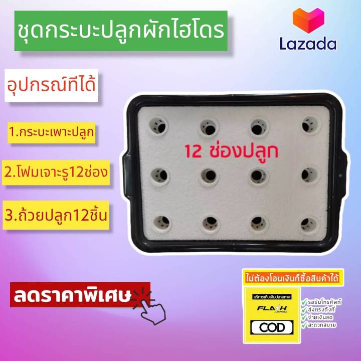 ชุดปลูกผักสลัด-ขนาด12รู-ชุดทดลองปลูกผักไฮโดรโปนิกส์-ชุดทดลองปลูกผักไร้ดิน-ชุดทดลองปลูกผักน้ำนิ่