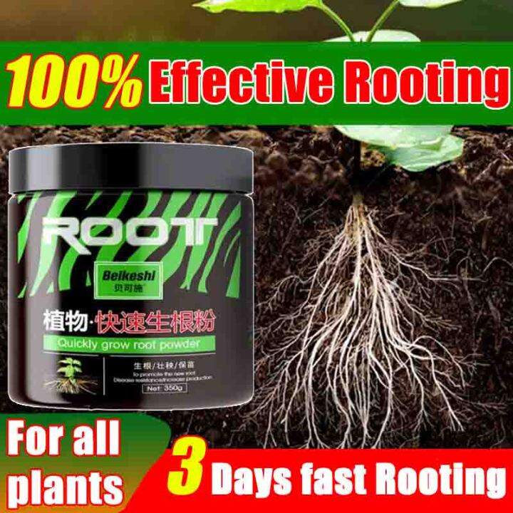 【fast Plant Growth】rooting Powder For Plants Fast Rooting Rapid Rooting Super Growth Fertilizer 5659