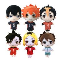 Clarissali Haikyuu 20cm Anime Hinata Nishinoya Tobio Kageyama Kozume Kenma Oikawa Tooru Stuffed Boys Gifts