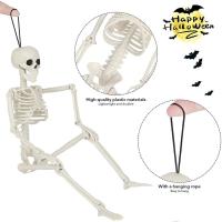 Halloween Simulation Skeleton Model Plasti Human Skeleton With Legs Spine Decoration Party Complete Art Chin Include Movable Arms Head Ribs W4R0