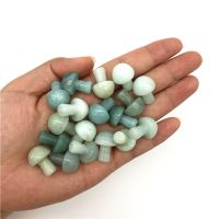 Beautiful 1/2Pcs Natural Amazonite Mushroom Shaped Polished Stone Decor Healing Gift Natural Quartz Crystals