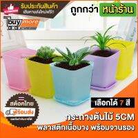 แนะนำ? 1 แถม 1 BUYMORE กระถาง พลาสติก กระถางแคคตัส สี่เหลี่ยม แบบบาง ขนาด 5CM กระถางต้นไม้ กระถางพลาสติก