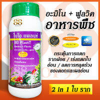 อาหารพืชสำหรับ บำรุง ใบและราก BIO Plant ประกอบด้วย อะมิโน + ฟูลวิค (Amino + Fluvic) ช่วยทำให้ต้นพืชแข็งแรง ออกดอกดี