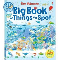 The Usborne Big Book Of Things To