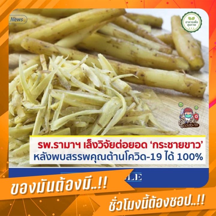 กระชายขาวสกัด-โรงพยาบาลยันฮีของแท้-บรรจุ60เม็ด-สินค้าพร้อมส่ง