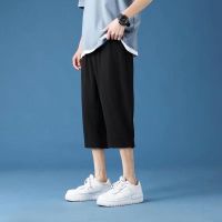 CODaith62sfe Ice silk shorts mens summer wear quick-drying casual loose loose wild thin section trend youth casual straight sports cropped pants