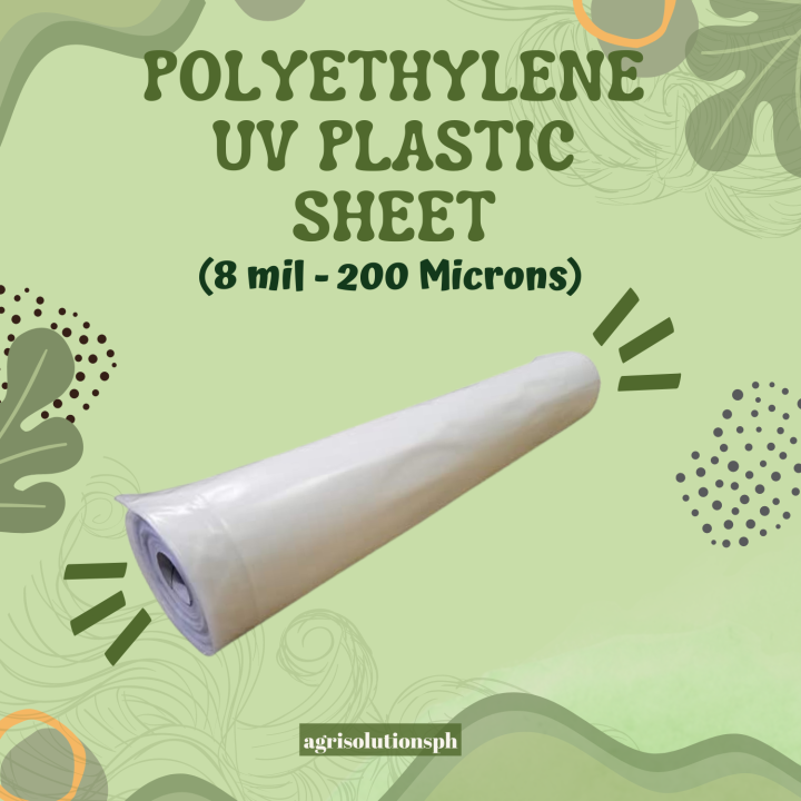 UV Plastic Sheet 8 mil 200 Microns 6m x 40 Meter Lazada PH