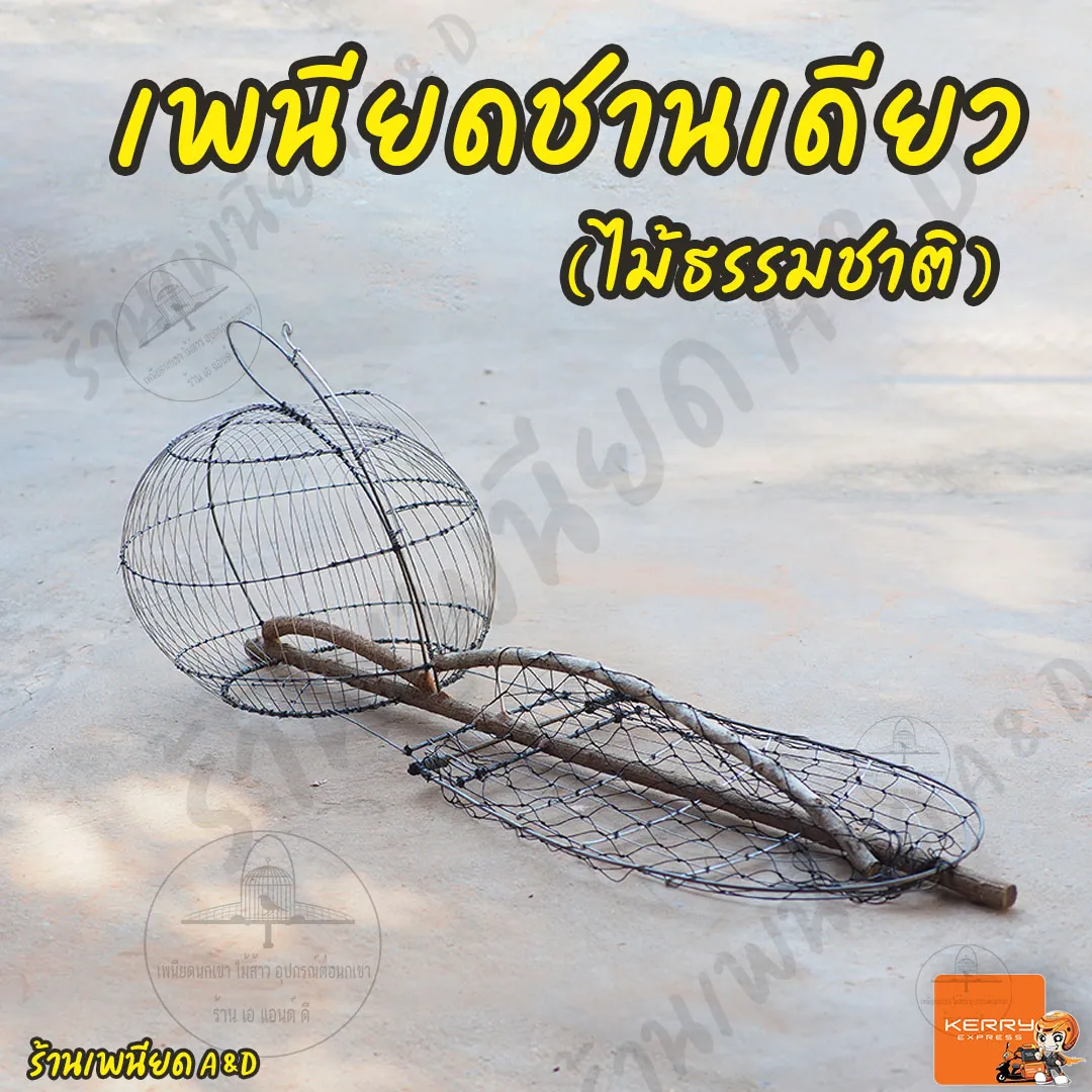 เพนียดต่อ นกเขาใหญ่ ชานเดียว (ชานธรรมชาติ) มีเก็บเงินปลายทาง ส่งด่วน Kerry Express | Lazada.co.th เพนียดต่อ นกเขาใหญ่ ชานเดียว (ชานธรรมชาติ) มีเก็บเงินปลายทาง ส่งด่วน Kerry Express | Lazada.Co.Th