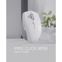 Razer Pro Click Mini