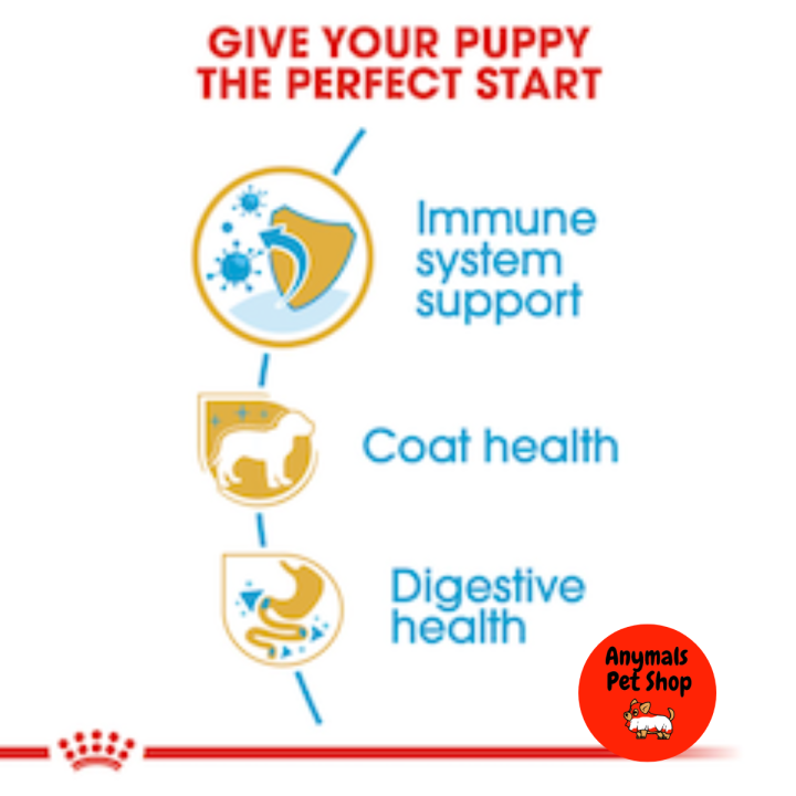 อาหารลูกสุนัข-royal-canin-poodle-puppy-อาหารสุนัข-สูตรลูก-พุดเดิ้ล-ขนาด-500g-1-5-kg