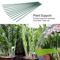 12Pcs Plant Climbing Stake ท่อเหล็กเคลือบพลาสติก Garden Support Greenhouse Gardening Tool