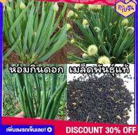 เมล็ดพันธุ์หอมดอก เมล็ดพันธุ์หอม?หอมดอก หอมกินดอก หอมบัวเลย?100เมล็ด40บาท พันธุ์แท้จากไร่ สามารถต่อยอดขยายพันธุ์ได้ หอมเเขกพม่า หอก