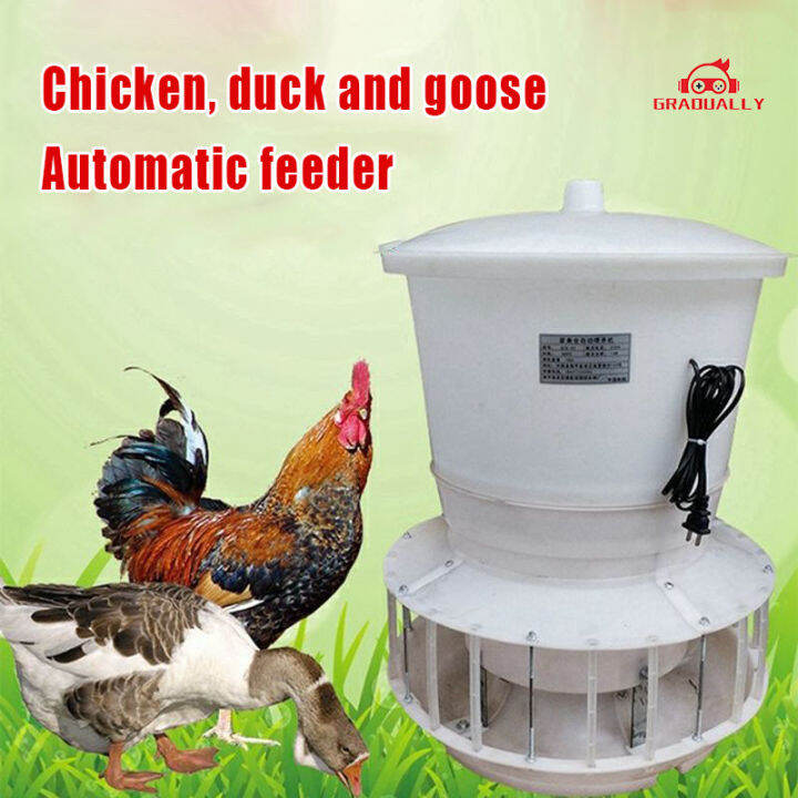 Automatic Chicken Feeder with Timer, 30KG Capacity Poultry Feeders Lazada PH