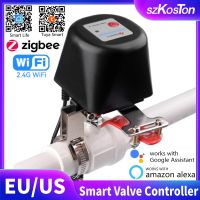 Tuya Zigbee WiFi Water Valve Garden Irrigation System Smart Faucet Controller Timer Gas Valve Voice Control for Alexa Google Valves