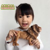 Animal Kingdom - โมเดล Lion สิงโต พ่อ ขนาด 23.00 CM (จากสงขลา)