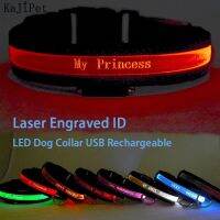 ✗✎ Engraved ID LED Dog Collar Luminous USB Custom Dog Tag Personalized Nylon Pet Dog Collar Led USB Light Night Safety Collar Perro