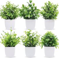 【CC】♞■  Artificial Bonsai Fake Eucalyptus Potted Indoor Outdoor Bedroom Garden Decoration supplies