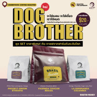 Cherrydog | เมล็ดกาแฟ Dog Brother Set จากฟาร์มดังระดับโลก 3 ประเทศ | Single Origin Set