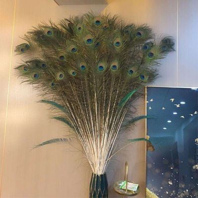 ▼▲ feathers and real feathers home decorations large living room peacock vases