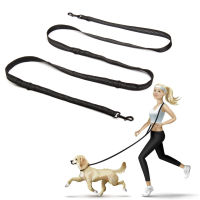 Multifunctional Dog Training Leash 3 Meters Nylon Double Leash Dog Supplies Hands Free Lead with Padded Handles Supplies