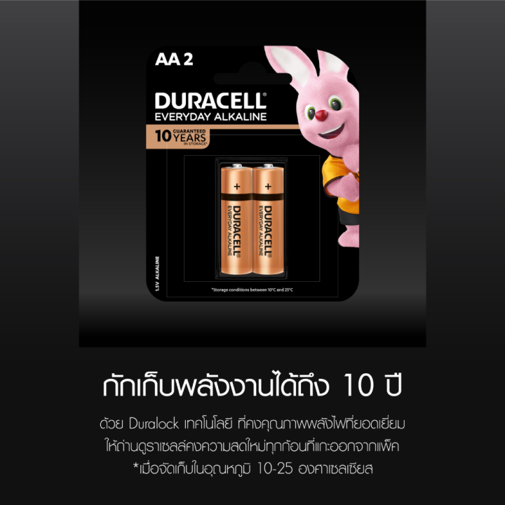 duracell-everyday-alkaline-aa-2-pieces-ถ่านเอฟเวอร์รี่เดย์อัลคาไลน์-aa-แพ็ค-2-ก้อน