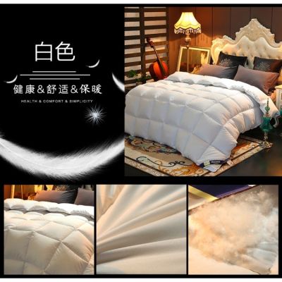 Soft Quilt Comforter Queen Ho Style High Quality Fitted Bedsheet Duvet Blankets Air Conditioner Quilt