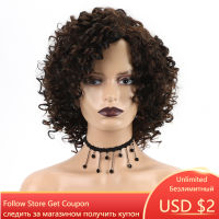 GNIMEGIL Female Afro Kinky Curly Wig Synthetic Fiber Colly Curls Wigs for Black Women Fashion Dark Brown Hair Replacement Wig