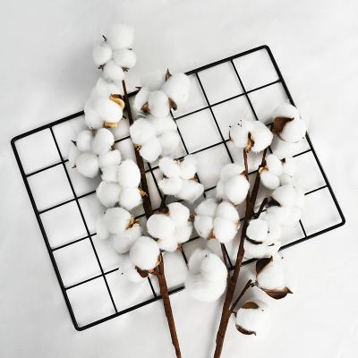 10 Head Naturally Dried Cotton Flower Artificial Plants Floral Branch For Wedding Party Decoration Fake Flowers Home Decor