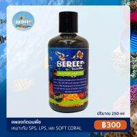 โปรโมชั่น BEREEF PHYTO PLANKTON บีรีฟ ไฟโตแพลงตอน แพลงตอนพืชแบบเข้มข้น อาหารเสริมตู้ปลาชั้นยอด (250ml.) ราคาถูก อาหารปลา อาหารปลาดุก อาหารปลาทอง อาหารปลาคราฟ