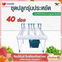 ชุดปลูกอเนกประสงค์ 40 ช่อง  *มีตัวเลือก 2 แบบ โปรดอ่านก่อนสั่งซื้อ * By  Hydroponicgroup