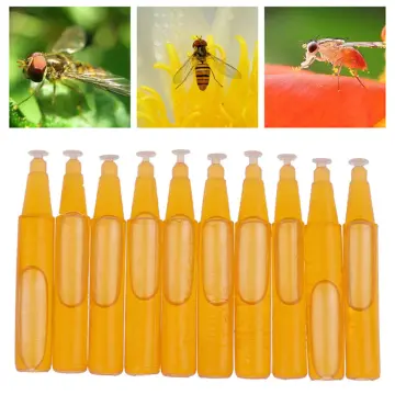 Fly Wasp Insect Trap Fruit Flies Insect Bug Hanging Tree Honey