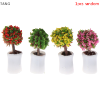 TANG 1:12 dollhouse Miniature MINI Tree กระถางต้นไม้สีเขียวในหม้อตกแต่งบ้าน