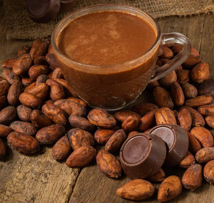 MOTHERLOU PURE and ORGANIC CACAO TABLEA Lazada PH