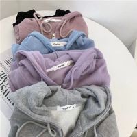 [COD] size 200 catties fat sister sweater womens solid zipper version lazy style loose hooded cardigan jacket