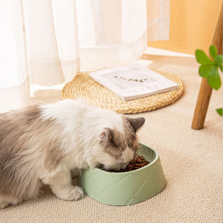 ชามสัปปะรด-ชามหมา-จานแมว-จานสัตว์เลี้ยง-pet-bowl-ที่ให้อาหารสัตว์เลี้ยง