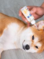 Original High-end Dog Ear Drops Ear Cleaning Cat Shiba Inu Removes Ear Mites Teddy Otitis Media Anti-Inflammation Pet Ear Wash Water Universal