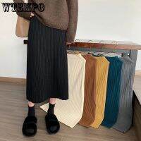 Empire Long Thick Skirts Women Warm Cozy Elegant Trendy Casual All-match Harajuku Korean Soft Elastic Waist A-line Knitted Skirt