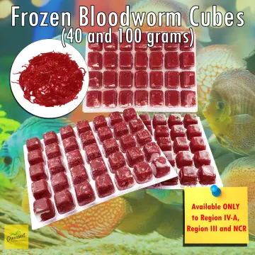 Buy Frozen Bloodworms online