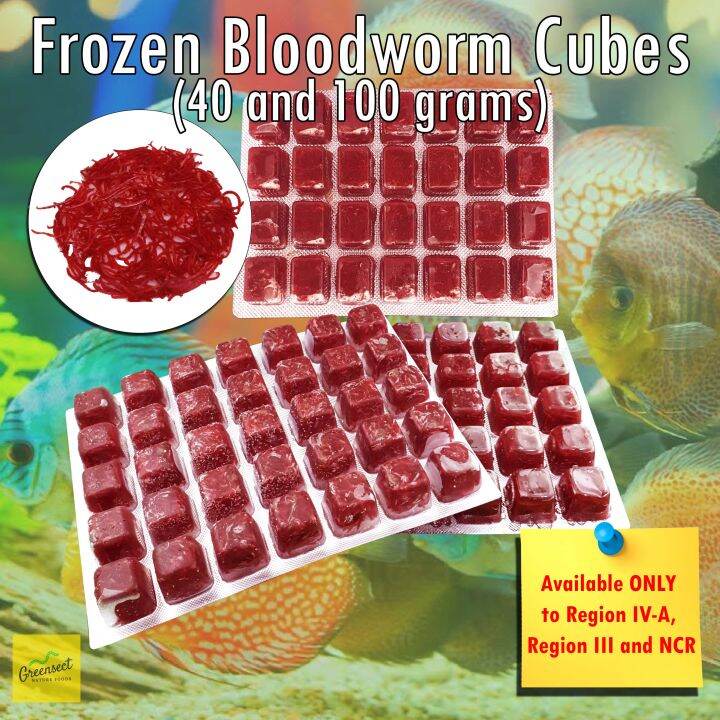 FROZEN BLOODWORM (WHOLESALE) betta tetra angelfish mollies discus reptile turtle fish food