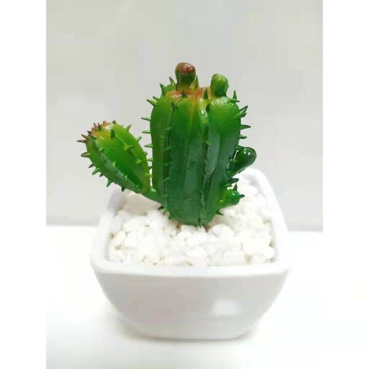 Artificial & Fake Cactus/Bonzai Plants Succulent Lazada PH