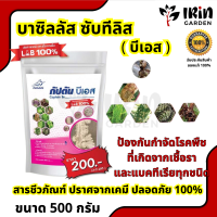 บีเอส บาซิลลัส ซับทิลิส กัปตันบีเอส ของแท้ 500 กรัม 100% ป้องกันกำจัด โรคพืชที่เกิดจากเชื้อรา แบคทีเรีย