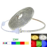 [Ricky Lighting] กันน้ำ AC 220V LED Strip 5050 SMD 1M 5M 10M 25M RGB ไฟ LED สวนตกแต่งกลางแจ้งเทปลายกับสหภาพยุโรปปลั๊ก LED ริบบิ้น