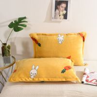 Winter coral flannel pillowcases a pair of adult student thickened warm flannel Plush pillowcases