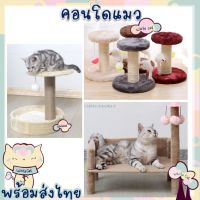 Whitecat พร้อมส่ง คอนโดแมว 1 ชั้น ที่ลับเล็บแมว ของเล่นแมว ลูกบอล กระดิ่ง ที่ฝนเล็บแมว ราคาถูก