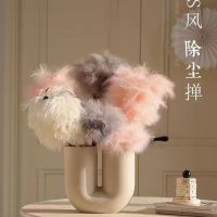 Dust removal feather duster ornaments dust sweeping artifact small household long handle electrostatic adsorption cleaning bedroom blanket no