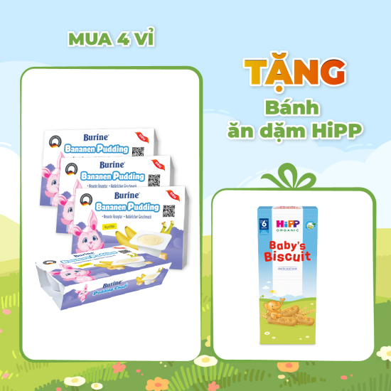 Combo 4 vỉ pudding ăn dặm burine vị chuối dành cho trẻ từ 6 tháng tuổi - ảnh sản phẩm 1