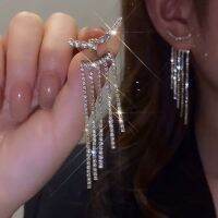 Long Tassel Rhinestone Drop Earrings for Women Luxury Oversize Butterfly Crystal Dangle Earrings Fashion Wedding Party Jewelry